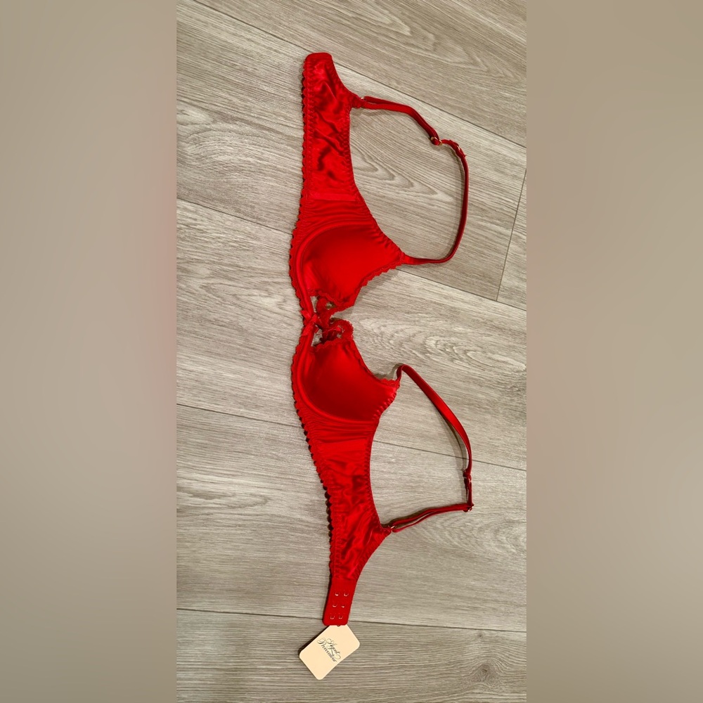 Agent Provocateur Tammi Red Silk Blend Bra. 34A. NWT. - Picture 3 of 6